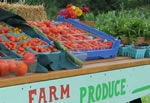 Weekly CSA Box